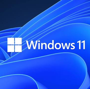 [不忘初心游戏版]Windows11 23H2（22631.3810）X64无更新 