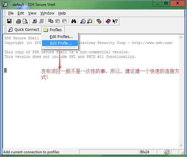 SSH Secure Shell Client