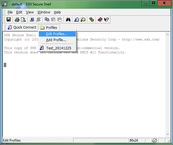 SSH Secure Shell Client