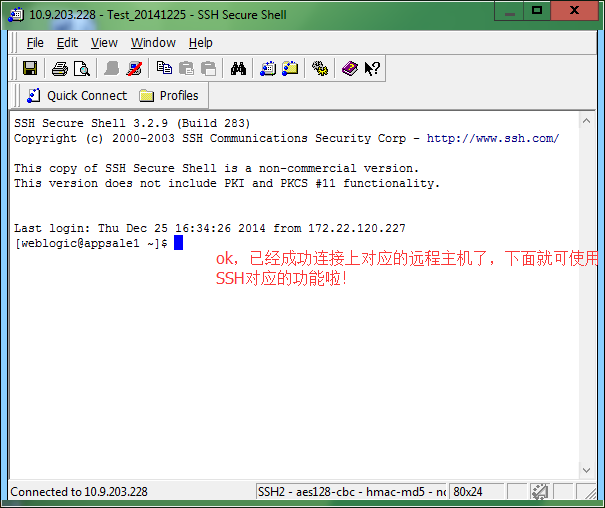 SSH Secure Shell Client