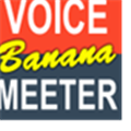 虚拟声卡Voicemeeter v3.0.2.2中文汉化版