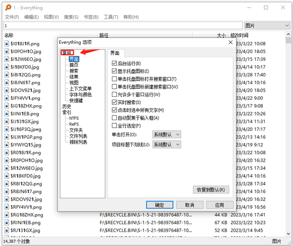 Everything绿色版