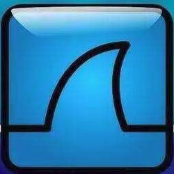 网络抓包工具Wireshark V4.4.6绿色汉化版
