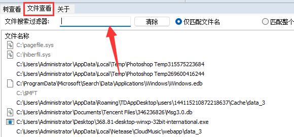 WizTree磁盘大文件管理工具