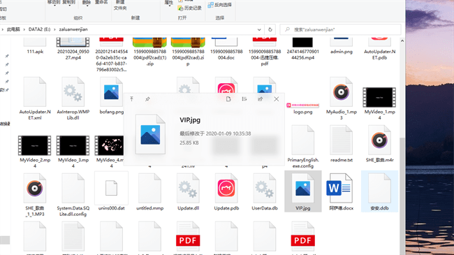 QuickLook(快速预览文件工具)
