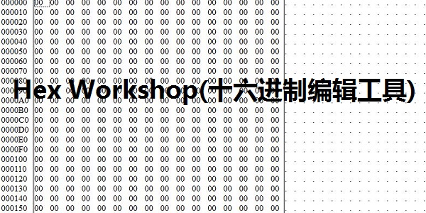 Hex Workshop(十六进制编辑器)